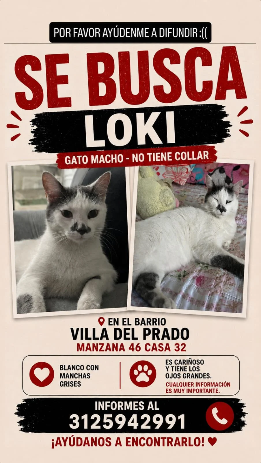 Foto 1 de Loki