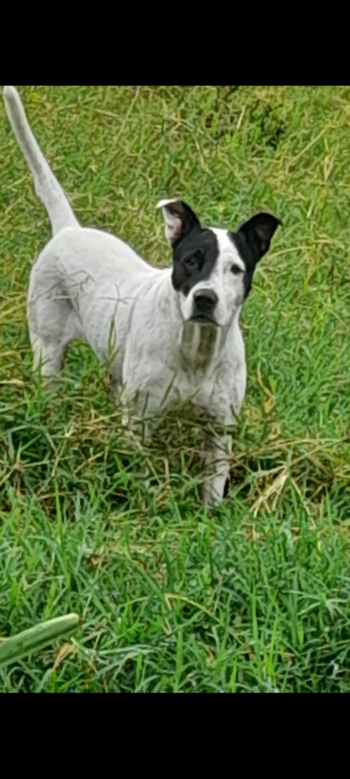 Foto 1 de Zeus