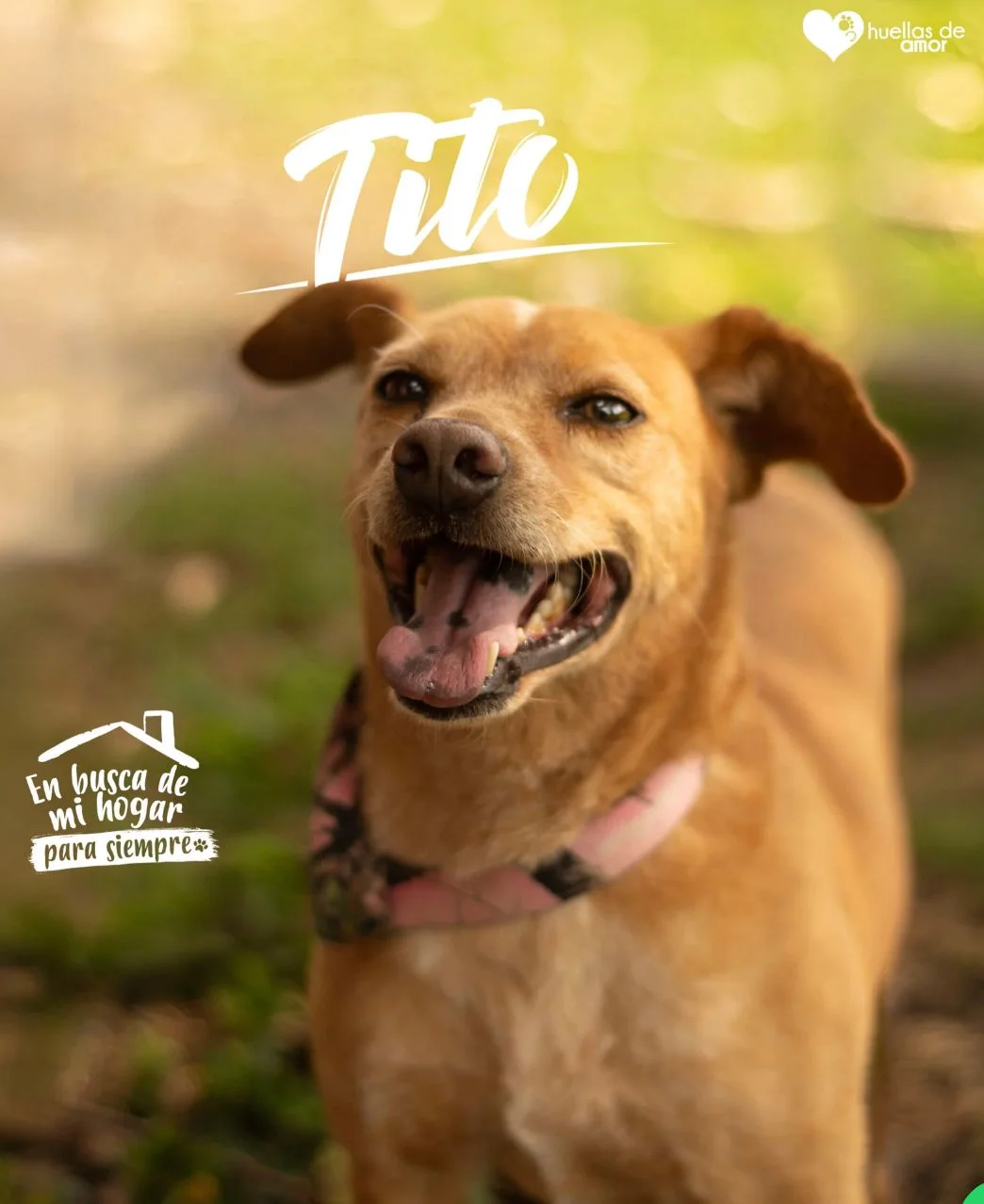 Foto de Tito