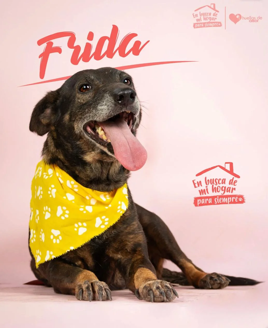 Foto de Frida