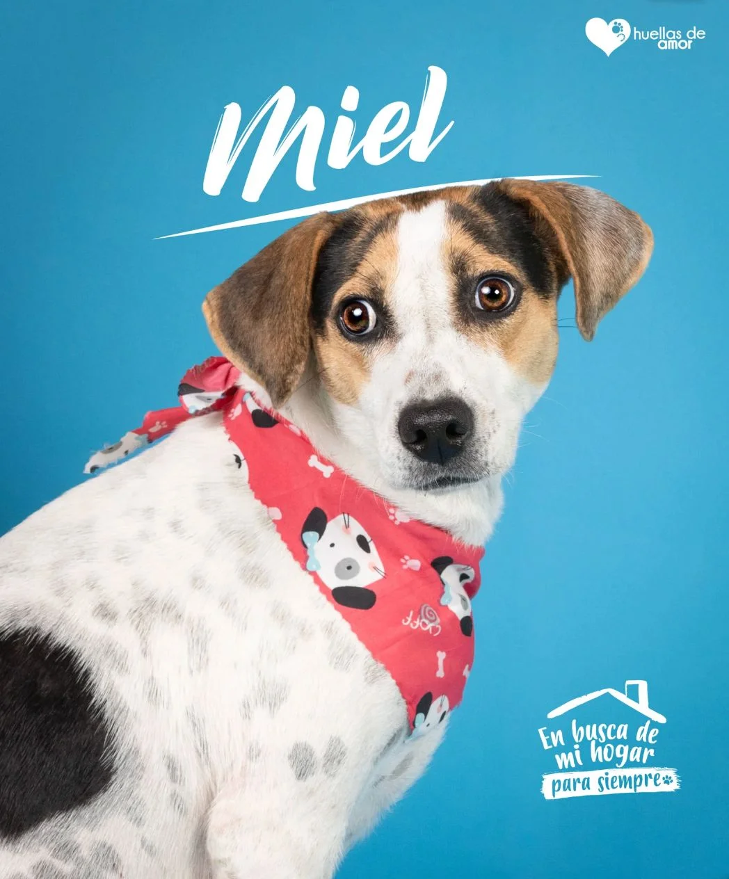 Foto de Miel