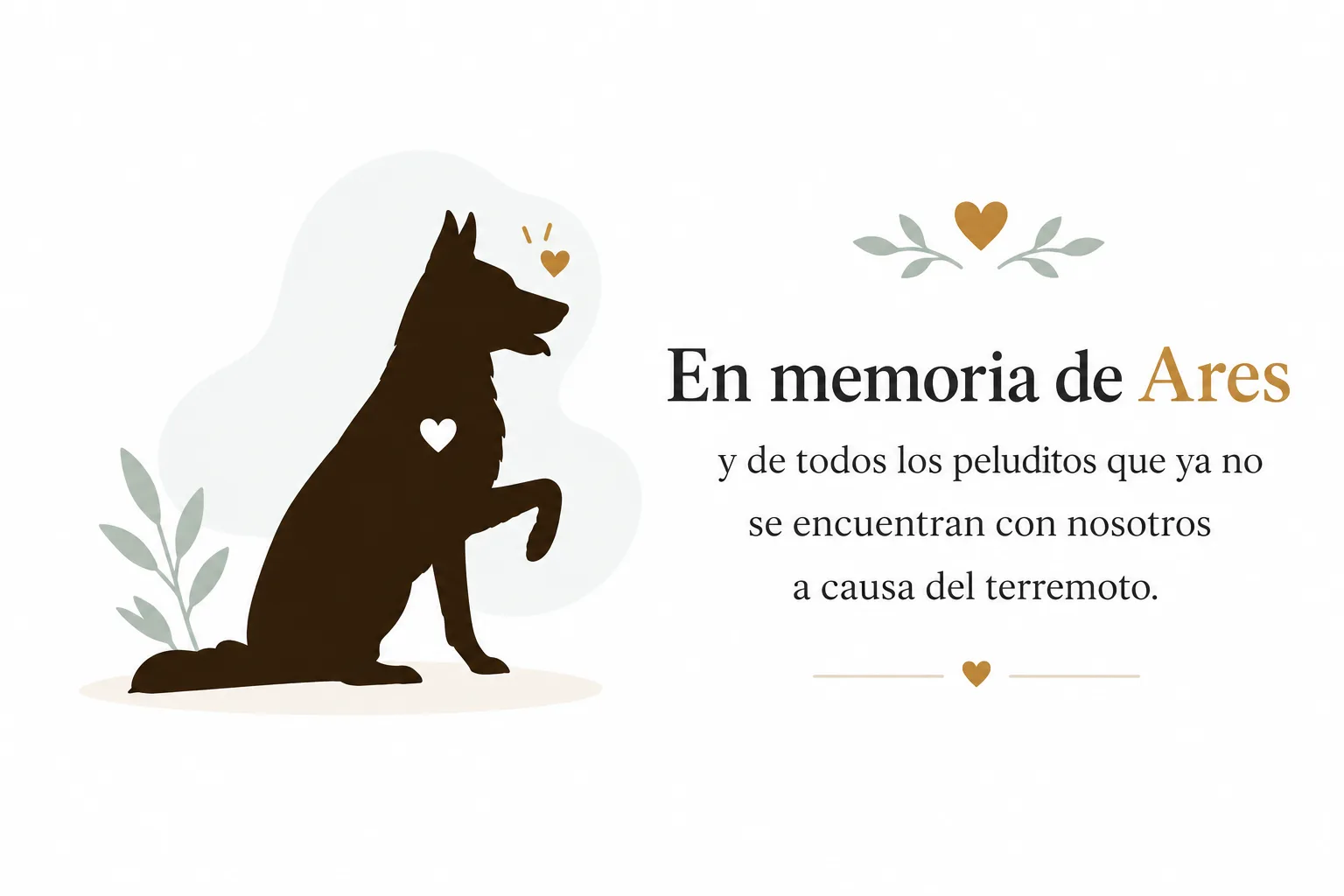 En memoria de Ares y de todos los peluditos que ya no se encuentran con nosotros a causa del terremoto